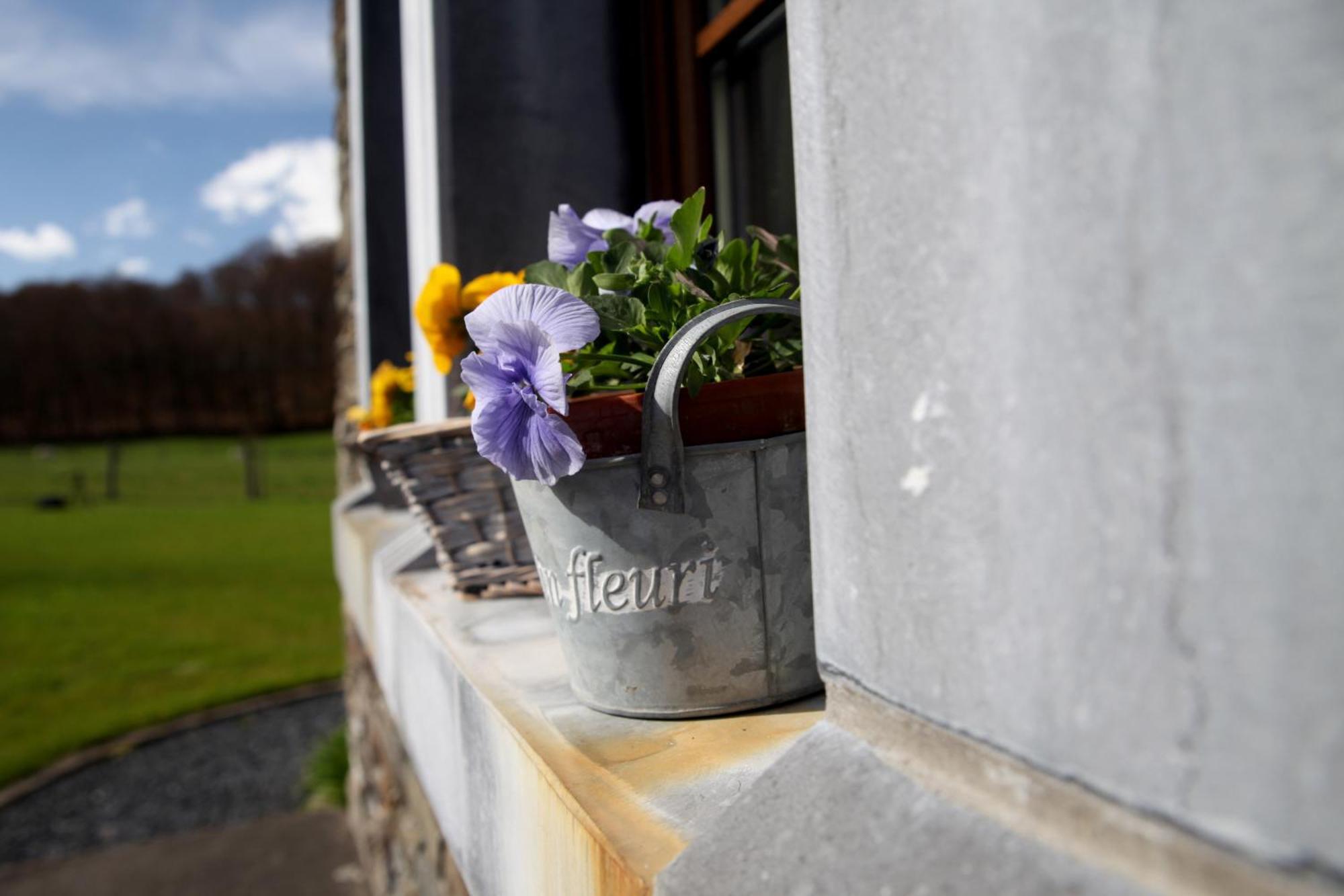 Une Parenthese En Ardenne Nollevaux Exterior photo