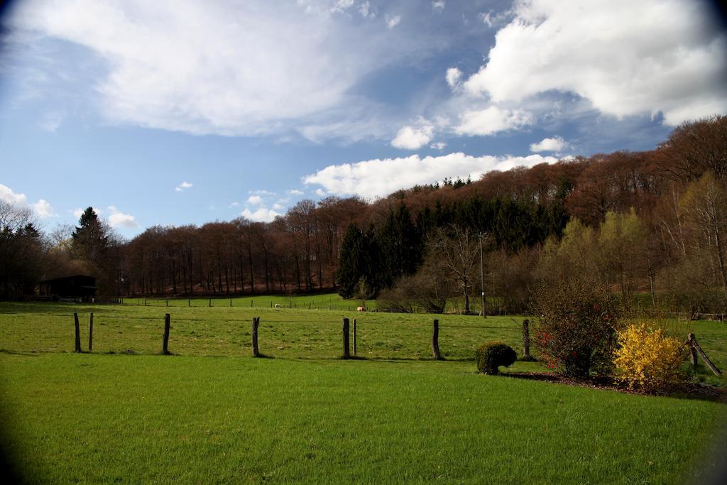 Une Parenthese En Ardenne Nollevaux Room photo